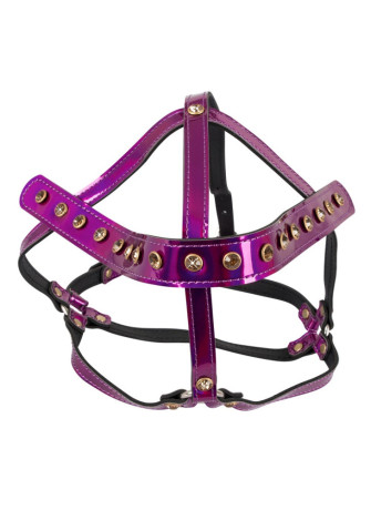 Head Harness